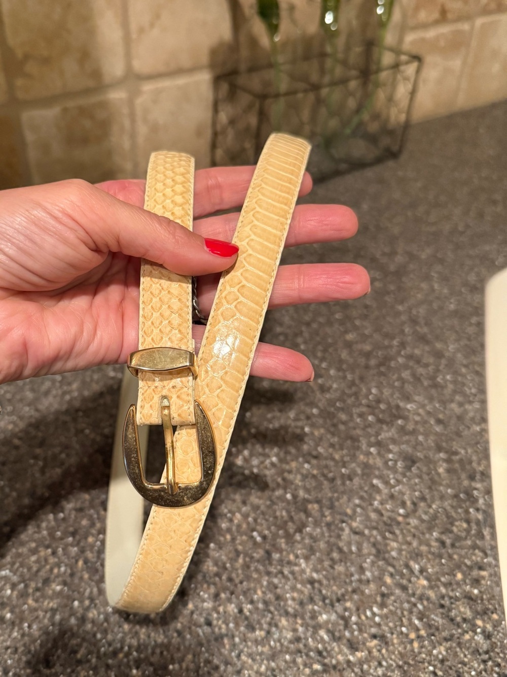 Vintage TUW Geniune Snakes Belt Cream Ivory Exotic Leather Gold Tone Buckle M/L